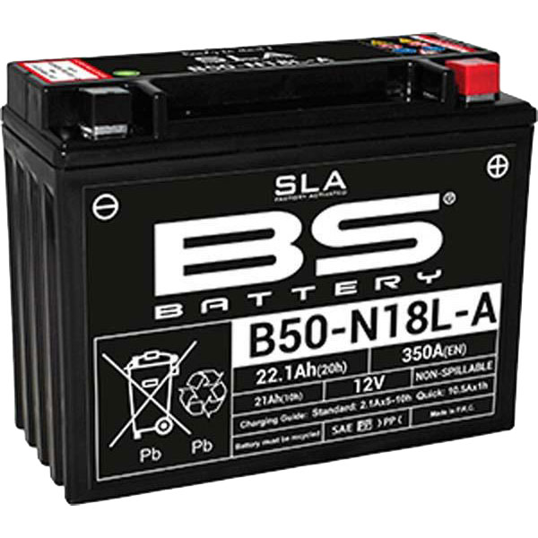 BS Batteries Motorcycle Battery 15 BS Batteries Motorcycle Battery