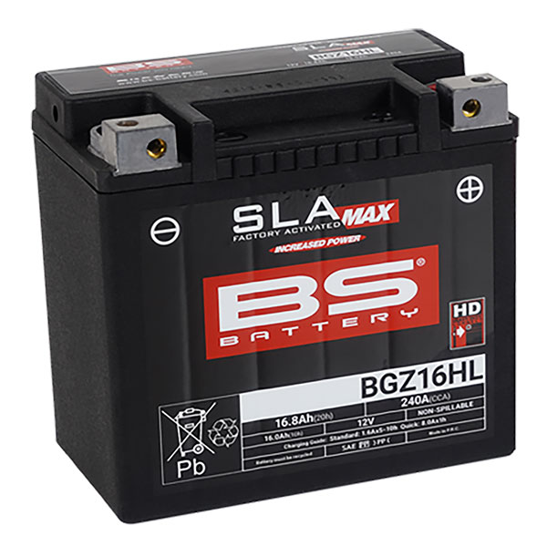 BS Batteries Motorcycle Battery